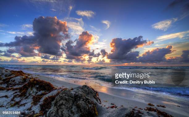 miami beach sunrise - bubis fotografías e imágenes de stock