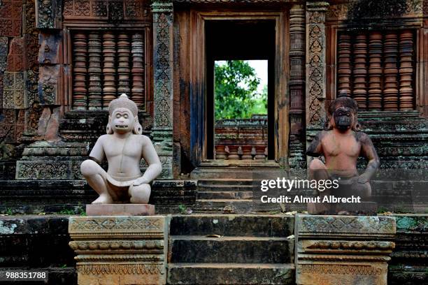 banteay srei (ladytemple) - banteay srei stock-fotos und bilder