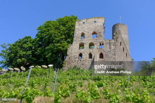 strahlenburg - germany castle stock-fotos und bilder