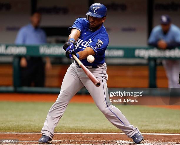 Infielder Alberto Callaspo of the Kansas City Royals fouls off a pitch against the Tampa Bay Rays during the game at Tropicana Field on May 2, 2010...