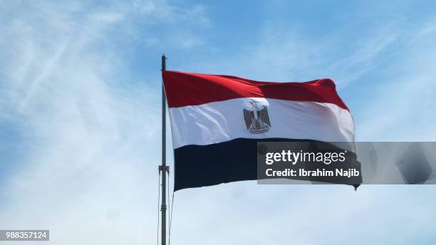 egypt flag - egito imagens e fotografias de stock