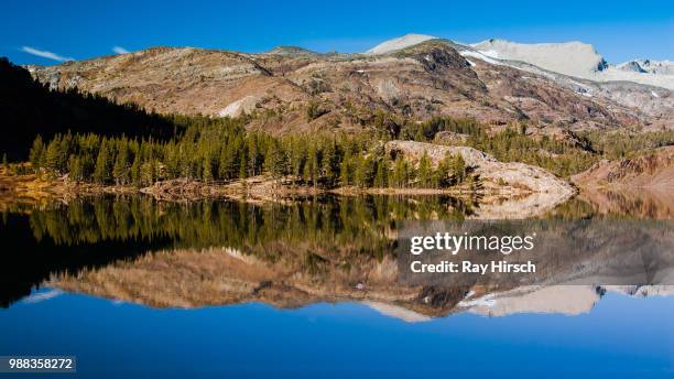 tioga lake, yosemite np - hirsch stock pictures, royalty-free photos & images