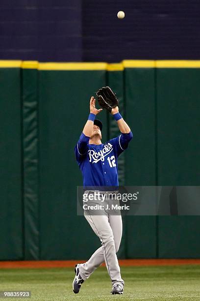 Outfielder Mitch Maier of the Kansas City Royals catches a fly ball against the Tampa Bay Rays during the game at Tropicana Field on May 2, 2010 in...