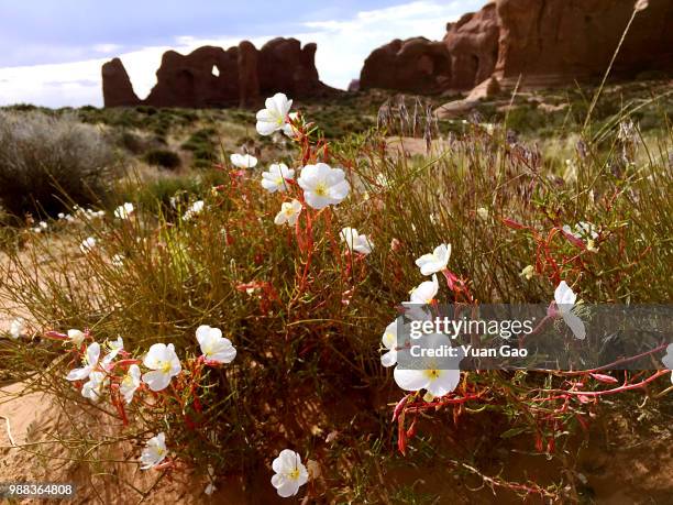 Utah Landscape High-Res Stock Photo