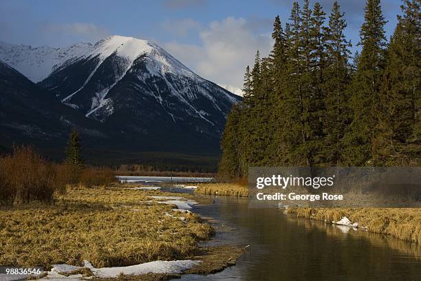 The dramatic snow covered peaks of the Bow River Valley are seen in this 2010 Banff Springs, Canada, early morning landscape photo taken from...