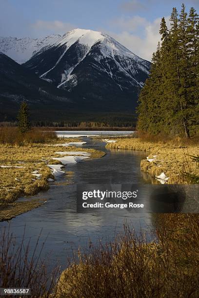 Spring Lake (Alberta) Photos and Premium High Res Pictures - Getty Images
