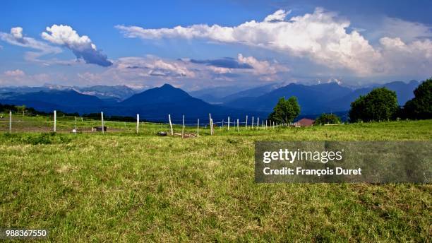 printemps en haute-savoie - printemps stock pictures, royalty-free photos & images