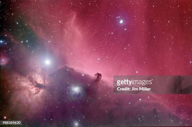 horsehead nebula - nebulosa cabeza de caballo fotografías e imágenes de stock