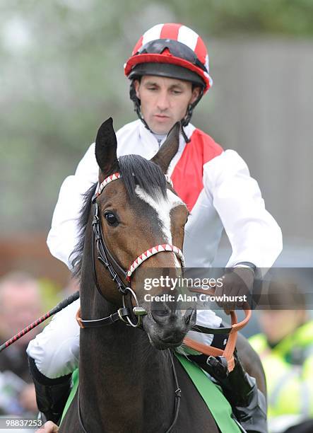 Misheer and Neil Callan at Newmarket racecourse on May 02, 2010 in Newmarket, England