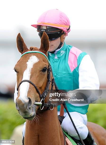 Special Duty and Stephane Pasquier at Newmarket racecourse on May 02, 2010 in Newmarket, England