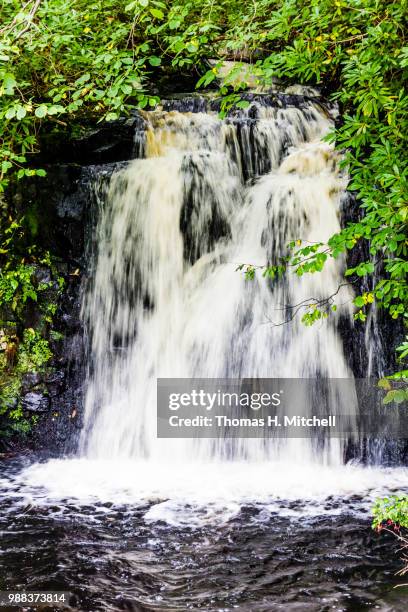 scotland-isle of skye-dunvegan castle and gardens - brook mitchell stock pictures, royalty-free photos & images