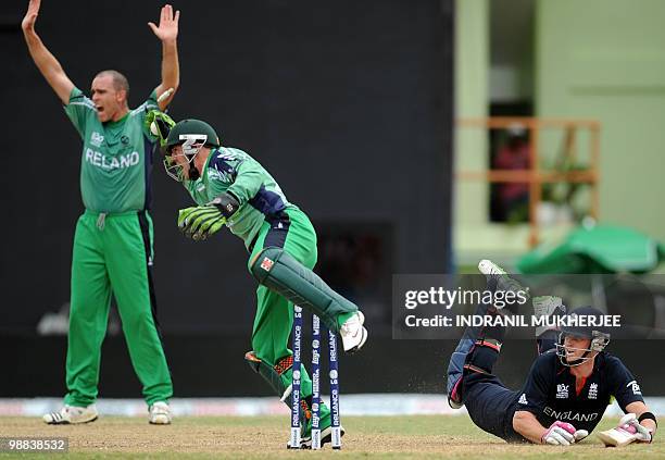 Ireland cricketer Trent Johnston celebrates as teammate Niall O'Brien runs out England cricketer Craig Kieswetter during their match in the ICC World...