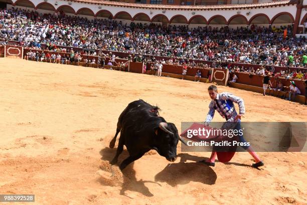 Spanish bullfighter Enrique Ulises performs with a Laura Velasco ranch fighting bull during a bullfight at the 'La Chata' bullring.