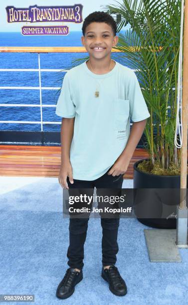 Lonnie Chavis attends Columbia Pictures And Sony Pictures Animation's World Premiere Of "Hotel Transylvania 3: Summer Vacation" at Regency Village...