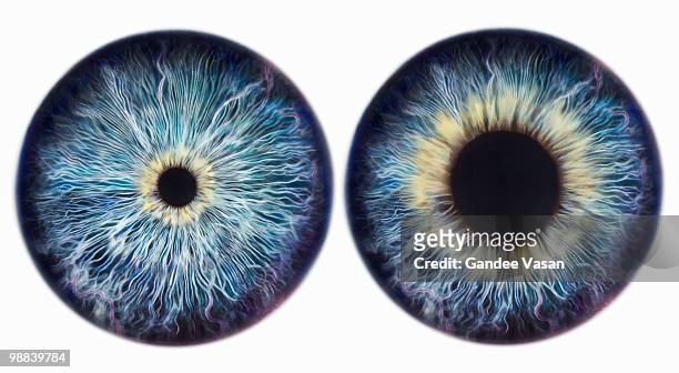 dilating iris - pair of eyes stockfoto's en -beelden