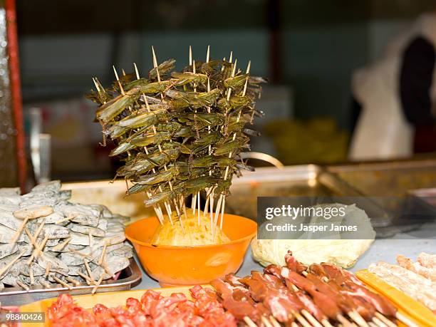 insects on sale at wangfujin food street,beijing - wangfujing stock pictures, royalty-free photos & images