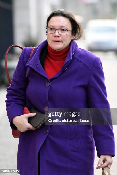 German Minister of Labour Andrea Nahles arrives at a meeting of the SPD executive committee in order to analyze and discuss the meeting of the party...