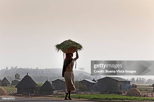 amhara woman near gonder - gondar stock pictures, royalty-free photos & images