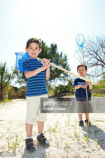 brothers chasing butterflies - chasing butterflies stock pictures, royalty-free photos & images