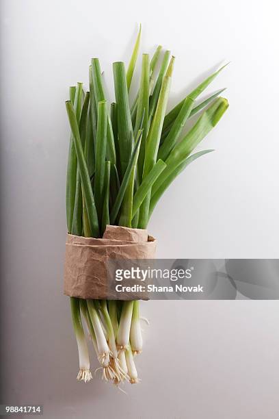 green onions on butcher paper - butcher paper foto e immagini stock