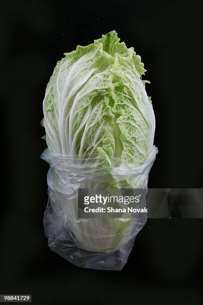 fresh cabbage - shana novak imagens e fotografias de stock