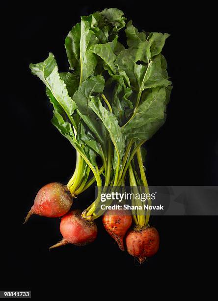 yellow beets - shana novak stock pictures, royalty-free photos & images