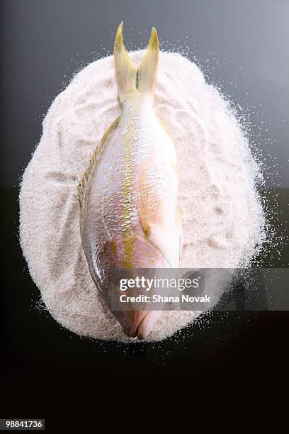 whole snapper on a salt bed - shana novak stock pictures, royalty-free photos & images