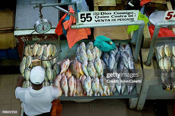 fish market - panama city stock pictures, royalty-free photos & images