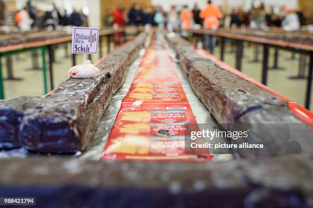 Giant "hedgehog slice" measuring 734,8 metres and weighing 2034 kg in a gymnasium during an attempt at a world record in Berlin, Germany, 02 December...