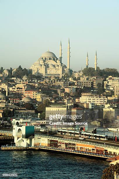 view of istanbul and suleymaniye mosque - suleymaniye stock-fotos und bilder