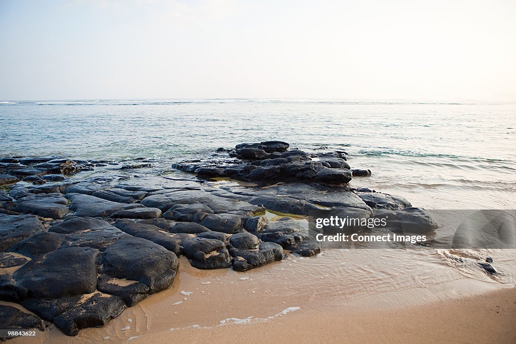 Rocks on hawaiian beach