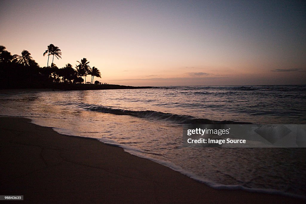 Hawaiian beach at sunset