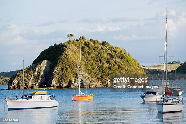 bay of islands, yachts in the bays near kerikeri - bay of islands new zealand stock pictures, royalty-free photos & images