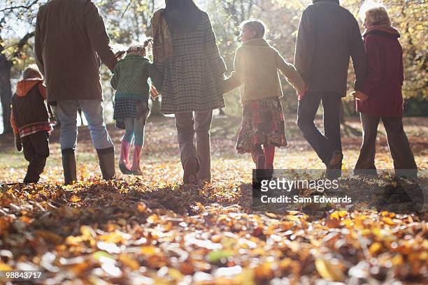 extended family holding hands and walking outdoors - connected family stock pictures, royalty-free photos & images