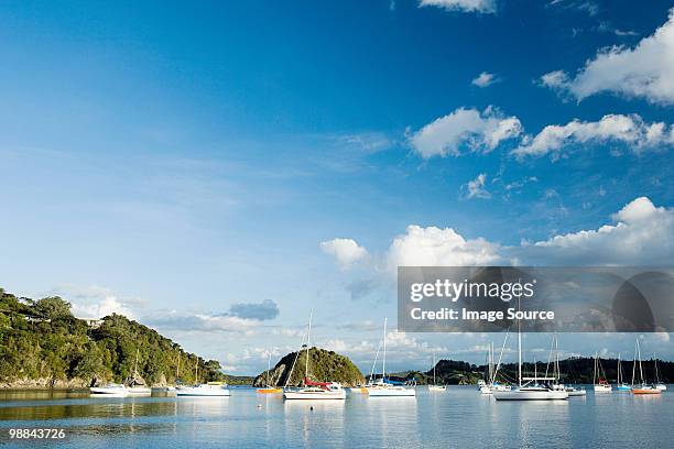 bay of islands, yachts in the bays near kerikeri - bay of islands stock pictures, royalty-free photos & images