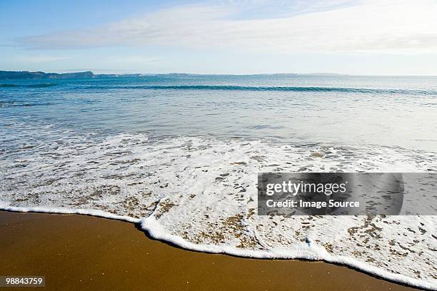 auckland , shore at hauraki gulf - hauraki gulf islands stock pictures, royalty-free photos & images