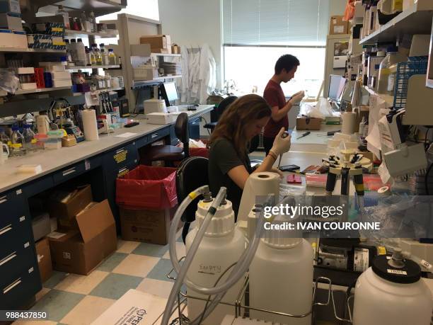 Lab workers are seen in the Ludwig Center for Cancer Genetics and Therapeutics, at Johns Hopkins Hospital, on June 21, 2018 in Baltimore, Maryland.
