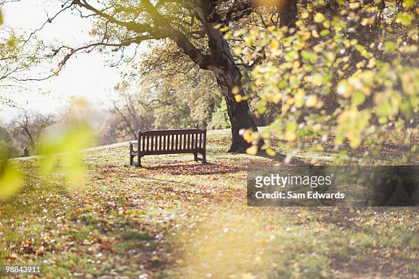 banco del parque de compensación en otoño - escena de tranquilidad fotografías e imágenes de stock