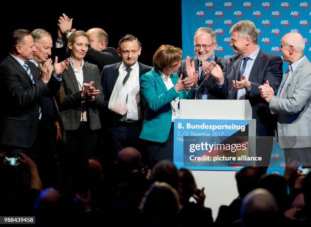 The newly elected federal board of the Alternative for Germany with Georg Pazderski , Alexander Gauland, Alice Weidel, Stephan Protschka, Kay...