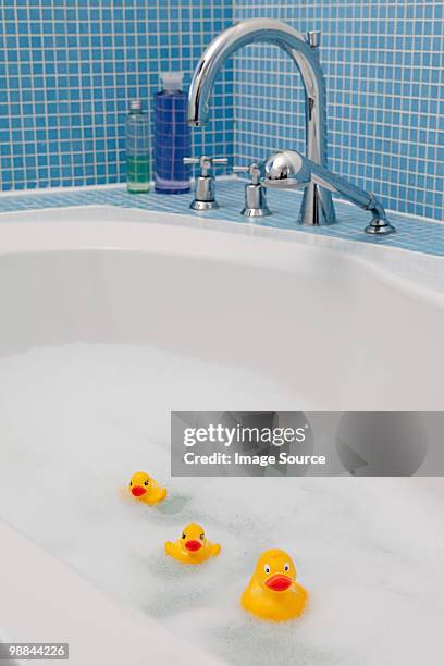 rubber ducks in bath - rubber duck stock pictures, royalty-free photos & images