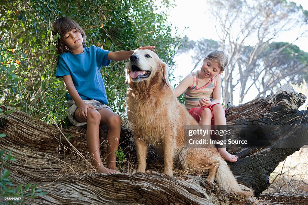 Children on tree trunk with golden retriever