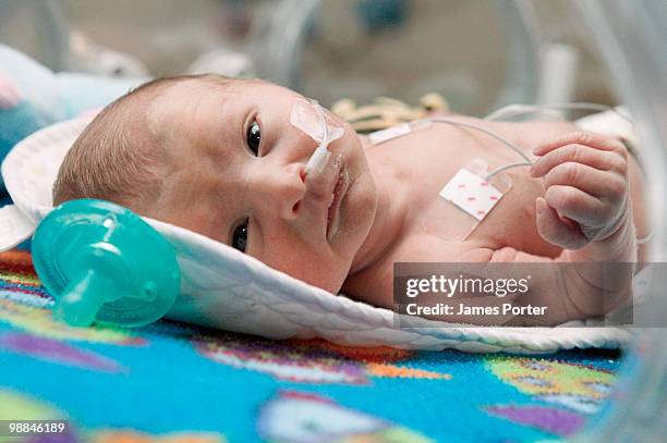 newborn baby in incubator - neonatal intensive care unit fotografías e imágenes de stock