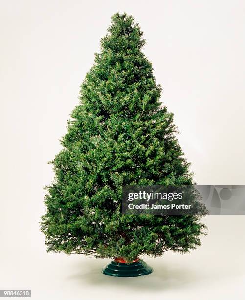 undecorated christmas tree - christmas tree decorations imagens e fotografias de stock