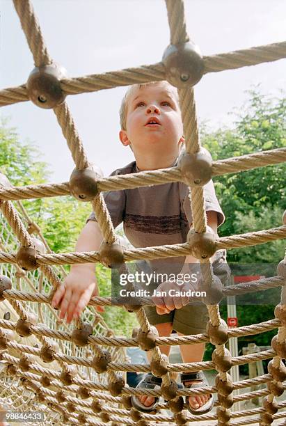 boy climbing on jungle gym - jungle gym stockfoto's en -beelden