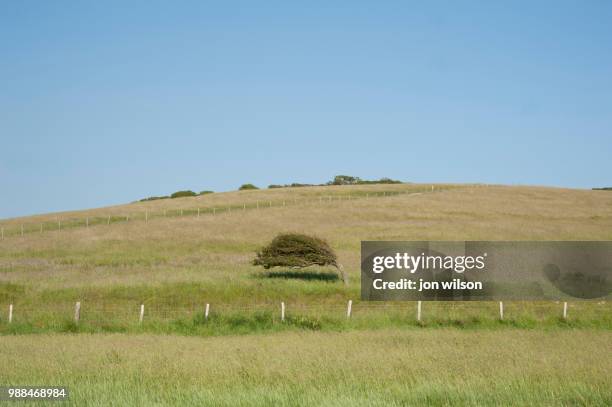 cuckmere haven - cuckmere haven stock pictures, royalty-free photos & images