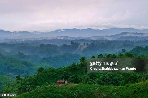 a hut in the hills on a foggy day. - bangladesh stock pictures, royalty-free photos & images