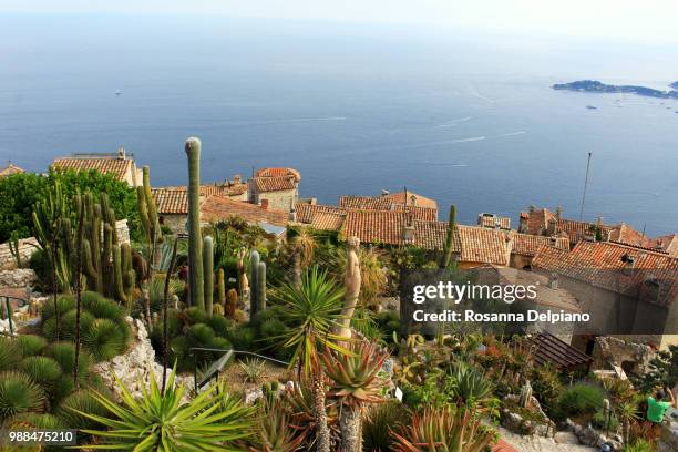 eze village : jardin exotique - eze village - fotografias e filmes do acervo