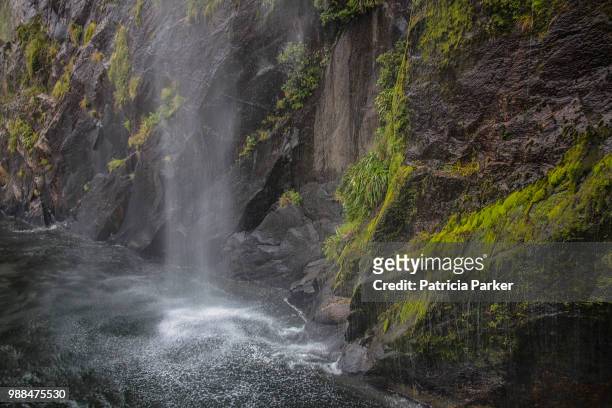 waterfall milford sound new zealand - rocky parker stock pictures, royalty-free photos & images