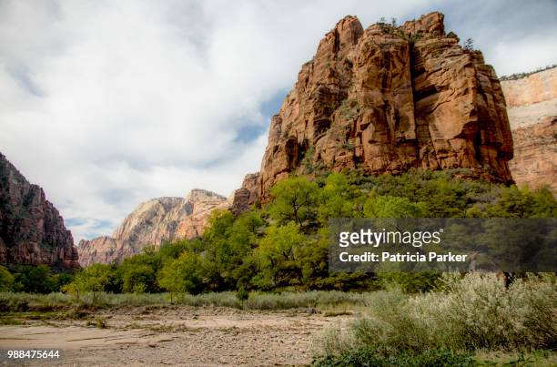 zion national park utah - rocky parker stock pictures, royalty-free photos & images
