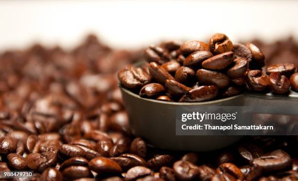 coffee bean - thailand focus 2011 stock-fotos und bilder